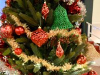 Finland-Sweden-Dinner-Nov2025  StephanieColaianni (10)