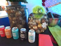 Finland-Sweden-Dinner-Nov2025  StephanieColaianni (112)