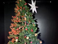 Finland-Sweden-Dinner-Nov2025  StephanieColaianni (12)