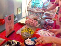 Finland-Sweden-Dinner-Nov2025  StephanieColaianni (142)