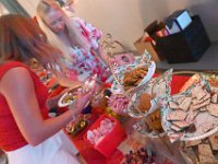 Finland-Sweden-Dinner-Nov2025  StephanieColaianni (144)