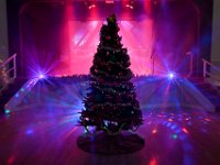 Finland-Sweden-Dinner-Nov2025  StephanieColaianni (187)