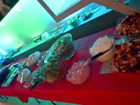 Finland-Sweden-Dinner-Nov2025  StephanieColaianni (75)