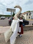 IMG 4161
